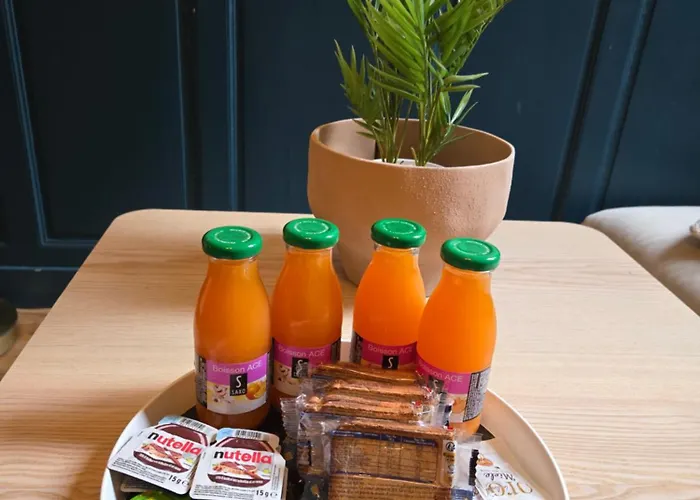 L'angevin - Centre Ville- Gare *